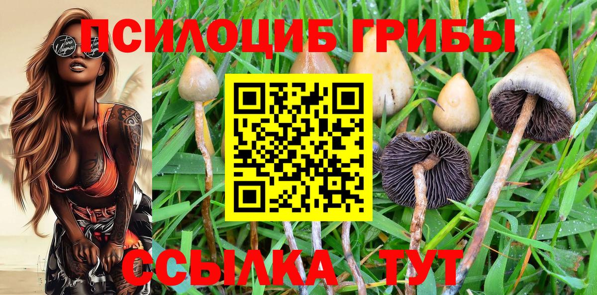 купить закладку  Псилоцибиновые грибы Magic Shrooms  Вход с VPN  Кызыл 